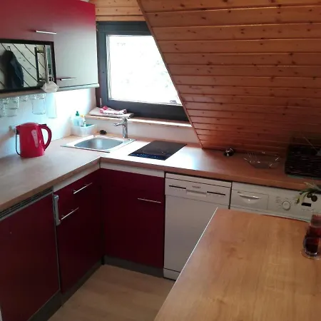 Ferienwohnung Auf 1233m Direkt Am Feldberg Apartamento *